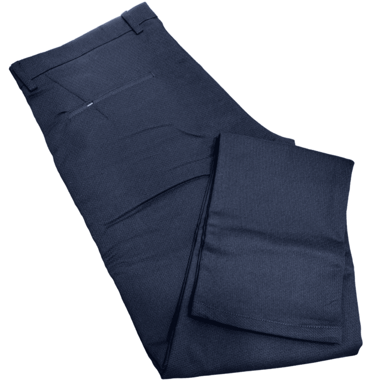 Blue Self Design Pant