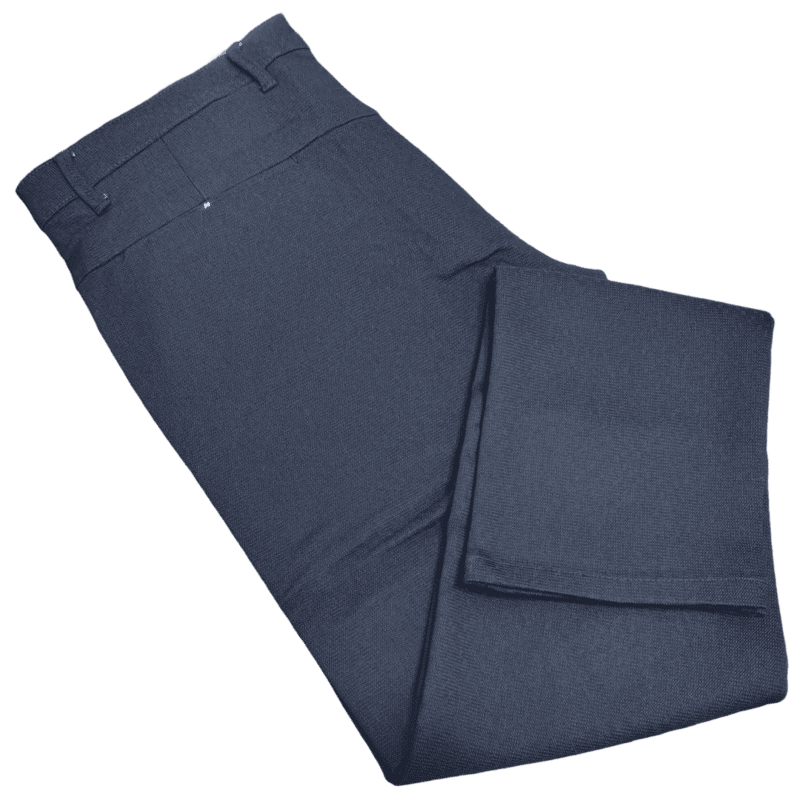 Blue Self Design Pant