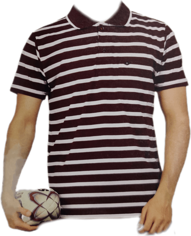 Polo Stripes Tshirt
