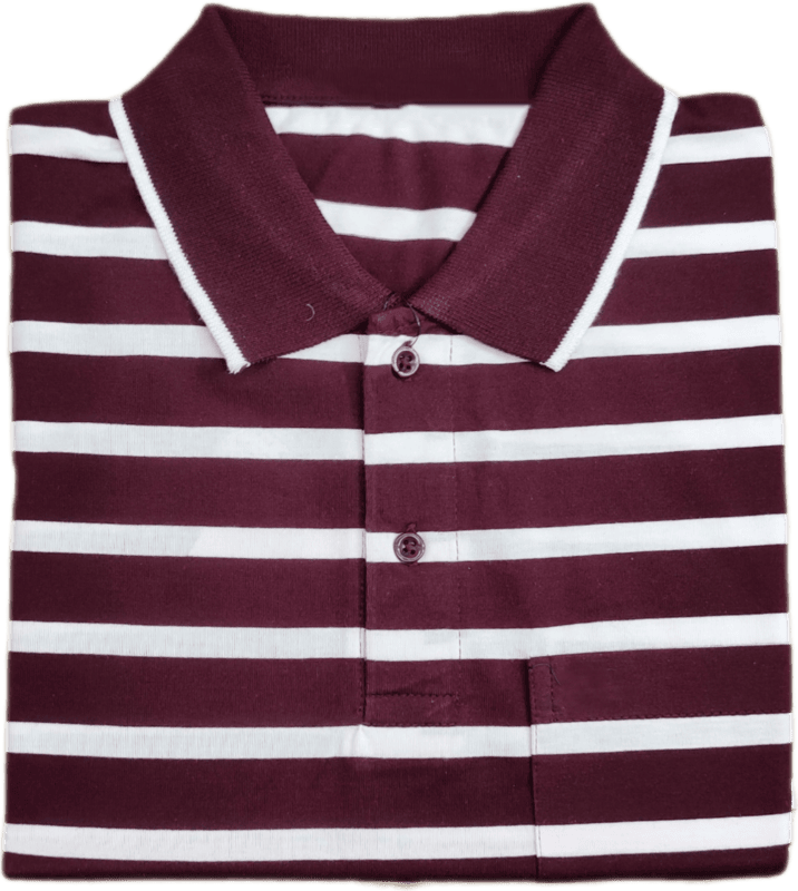 Polo Stripes Tshirt