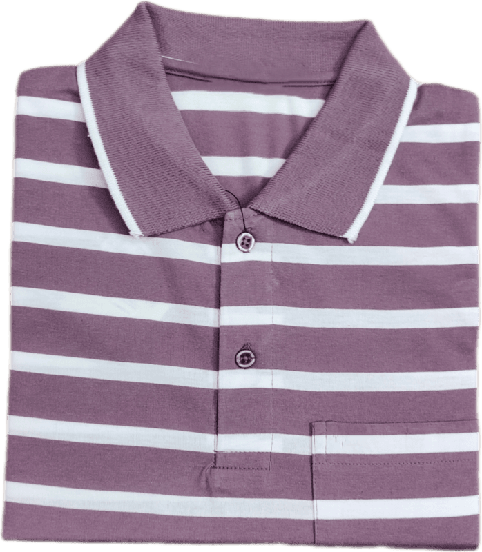 Polo Stripes Tshirt