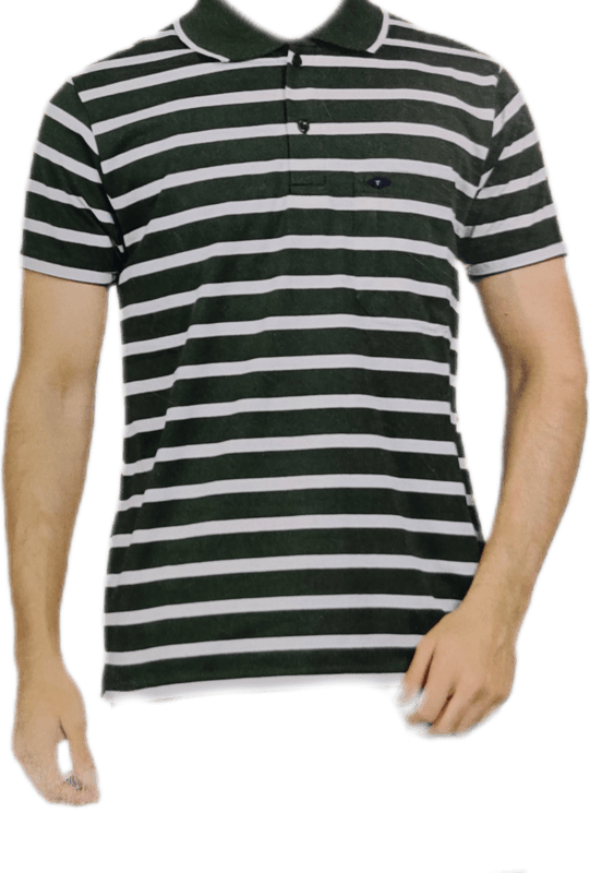 Polo Stripes Tshirt