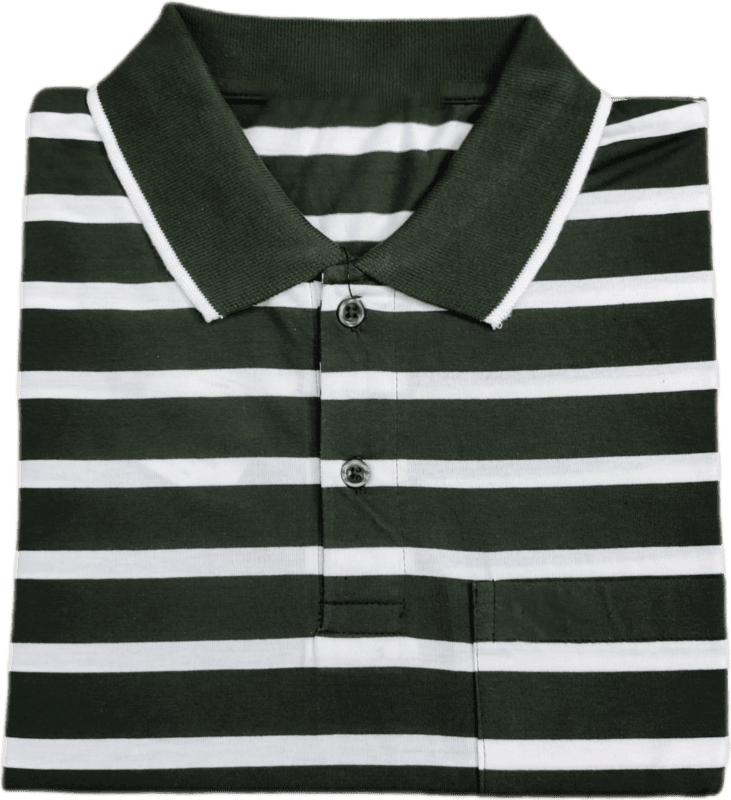 Polo Stripes Tshirt