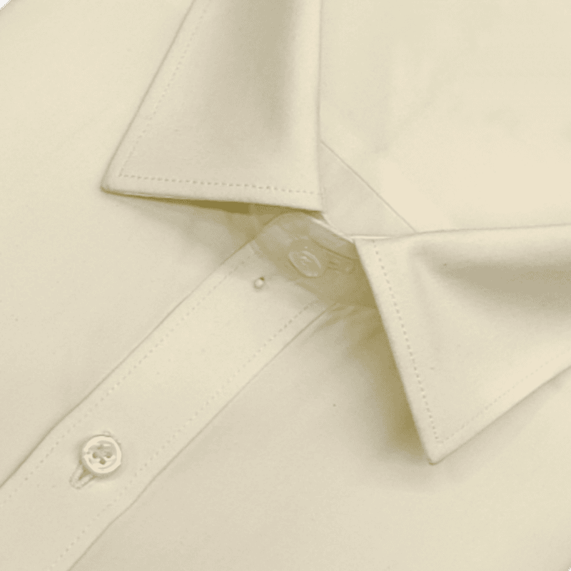 Formal Cotton Mix Plain Shirt