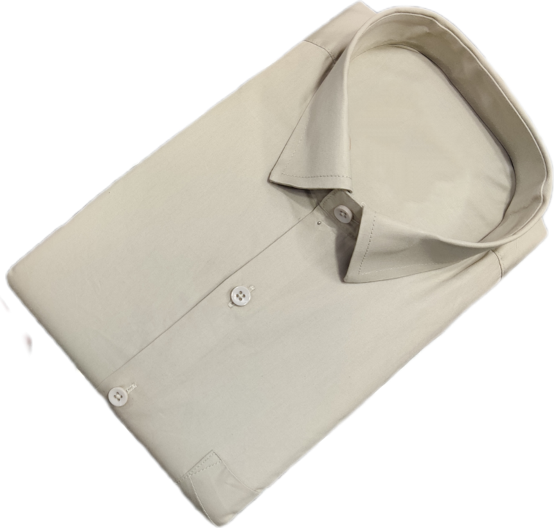 Cotton Blended Plain Shirt