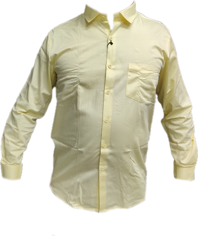Cotton Blended Plain Shirt