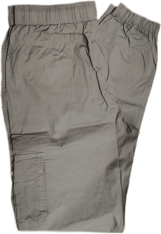 Plain Cargo Pant
