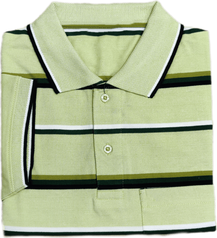 Polo Stripes Tshirt